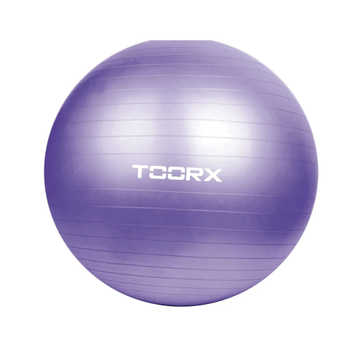 Купить Фитбол  Toorx Gym Ball 75 cm Purple (AHF-013) в Киеве - фото №1